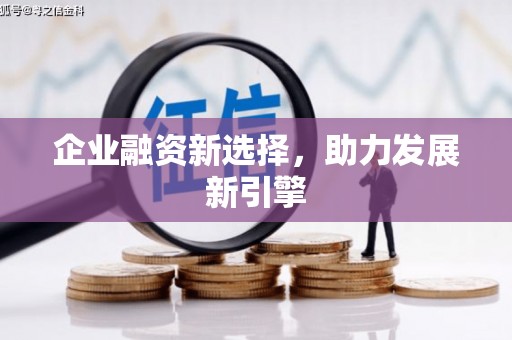奉化企业融资新选择，助力发展新引擎