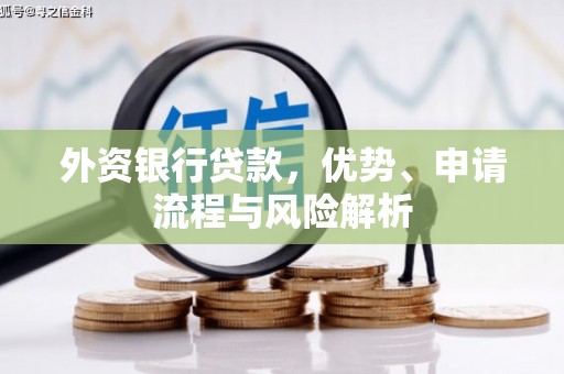 奉化外资银行贷款，优势、申请流程与风险解析