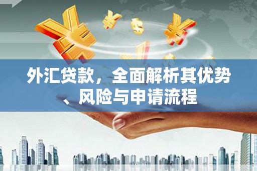奉化外汇贷款，全面解析其优势、风险与申请流程