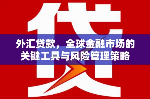 奉化外汇贷款，全球金融市场的关键工具与风险管理策略