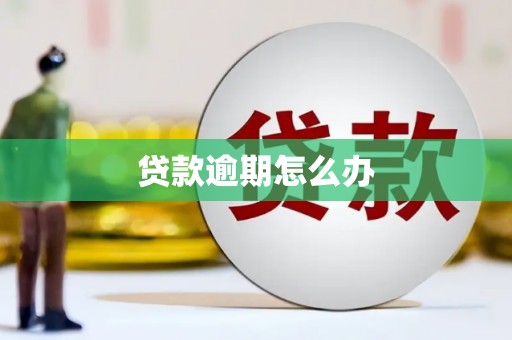 奉化贷款逾期怎么办