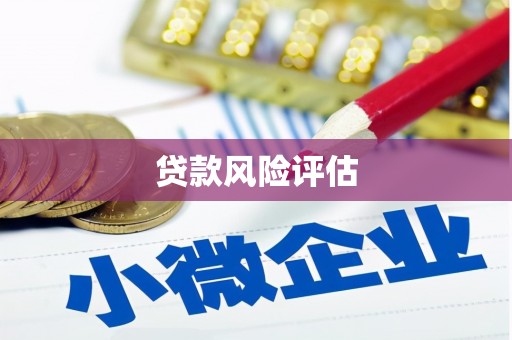 奉化贷款风险评估