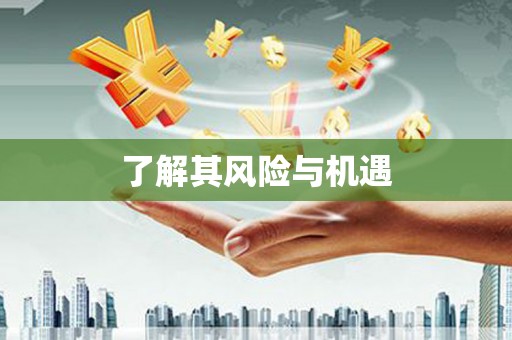奉化了解其风险与机遇