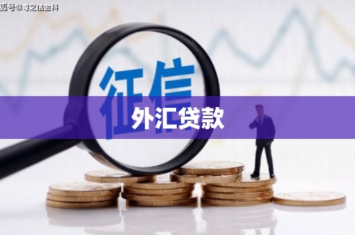奉化外汇贷款