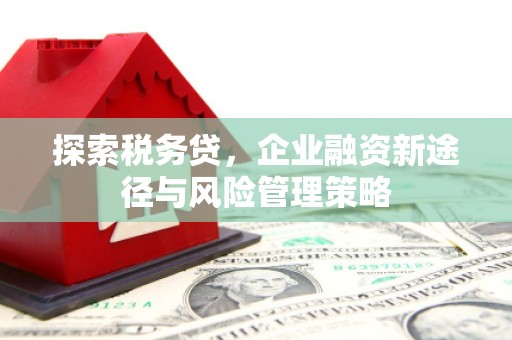 奉化探索税务贷，企业融资新途径与风险管理策略