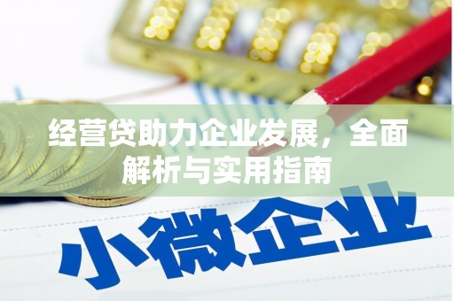 奉化经营贷助力企业发展，全面解析与实用指南