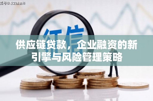 奉化供应链贷款，企业融资的新引擎与风险管理策略