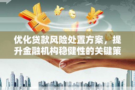 奉化优化贷款风险处置方案，提升金融机构稳健性的关键策略
