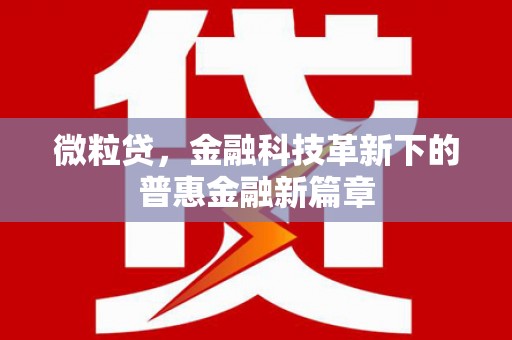奉化微粒贷，金融科技革新下的普惠金融新篇章