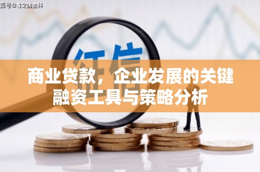 奉化商业贷款，企业发展的关键融资工具与策略分析