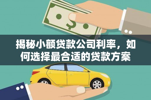 奉化揭秘小额贷款公司利率，如何选择最合适的贷款方案