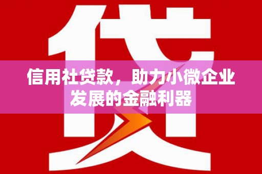 奉化信用社贷款，助力小微企业发展的金融利器