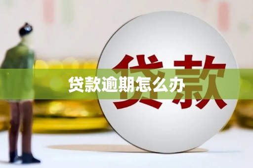 奉化贷款逾期怎么办