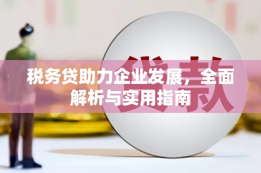 奉化税务贷助力企业发展，全面解析与实用指南