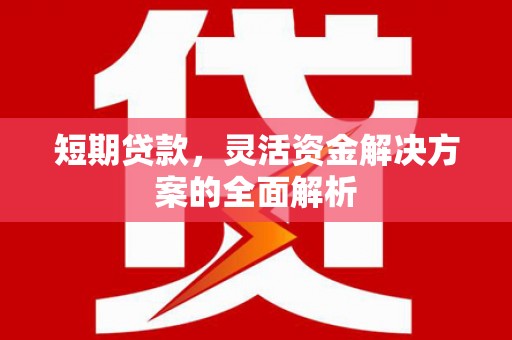 奉化短期贷款，灵活资金解决方案的全面解析