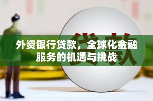 奉化外资银行贷款，全球化金融服务的机遇与挑战