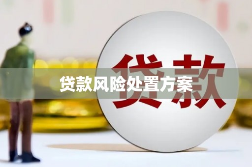 奉化贷款风险处置方案