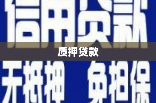 奉化质押贷款