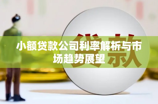 奉化小额贷款公司利率解析与市场趋势展望