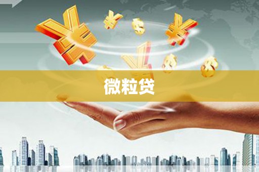 奉化微粒贷