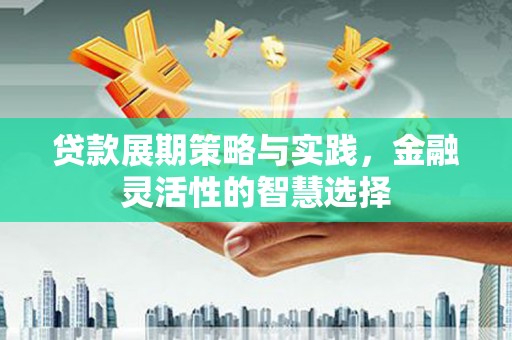 奉化贷款展期策略与实践，金融灵活性的智慧选择