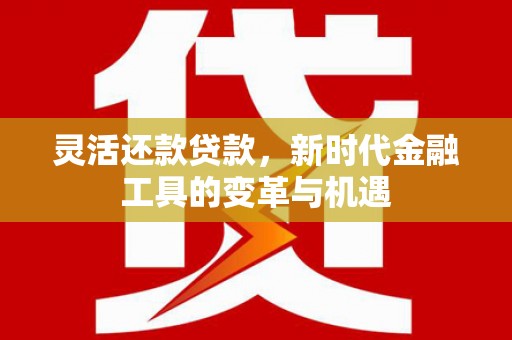 奉化灵活还款贷款，新时代金融工具的变革与机遇