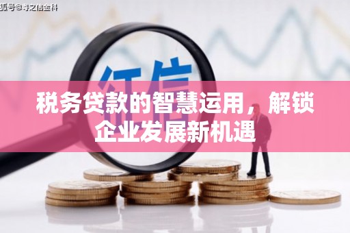 奉化税务贷款的智慧运用，解锁企业发展新机遇