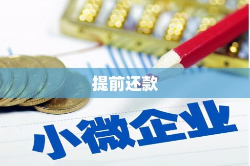 奉化提前还款