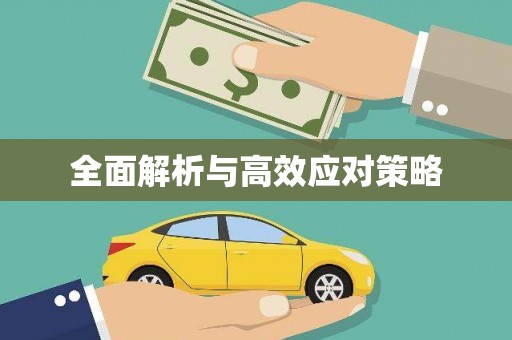 奉化全面解析与高效应对策略